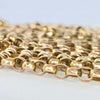 Edwardian 9 Carat Gold Longuard Necklace and Shell Pendant